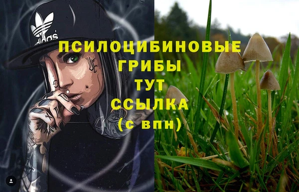 MESCALINE Богородицк