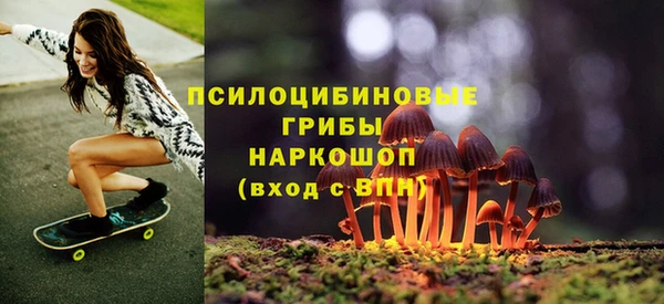 метамфетамин Богданович