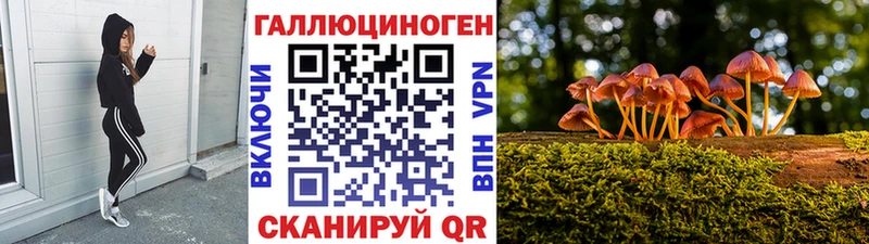 Галлюциногенные грибы Psilocybine cubensis  закладка  Волжск 